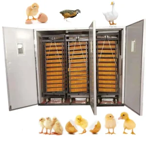 12,672 Egg Chicken Fowl Incubator