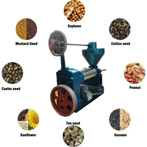 Cold Oil Press Machine
