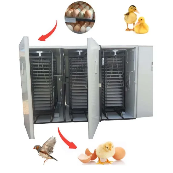 Fully Automatic 13,000 Quail Egg Incubator - Image 6