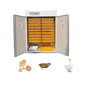 Fully Automatic Turning Egg Incubator