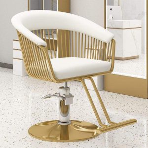 Modern Salon Barber Chair Lifting Hairdressing Beauty Furniture Styling