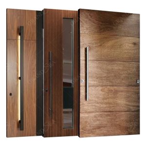 Stainless Steel Security Wood Pivot Front Door