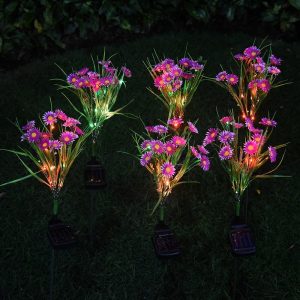 Solar LED Simulated Wild Chrysanthemum Light