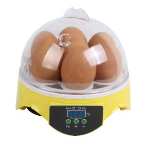 7 Eggs Incubator (Air Freight)