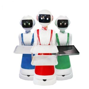 Humanoid Food Service Robot