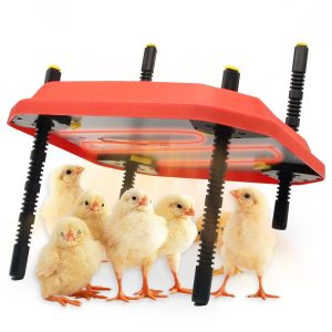 12x12 Chick Brooder Plate (Air Freight)