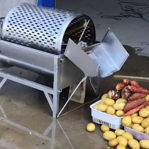 Vegetable Washing Peeling Machine