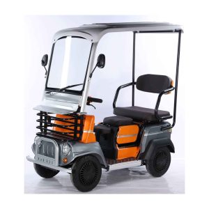 Electric Golf Cart With LCD Screen