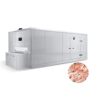 Tunnel Freezer