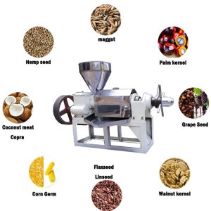 Seed Oil Press Machine