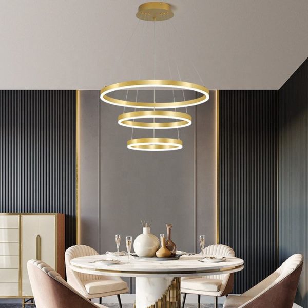 Ring Style Hanging Pendant Light - Image 3