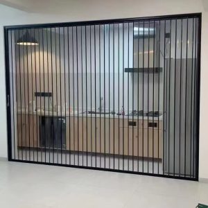 Transparent Folding Doors