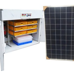 Small Solar Egg Incubators 48Eggs